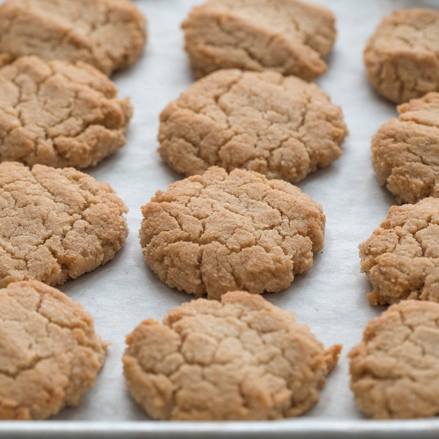 Orange Almond Coconut Cookies