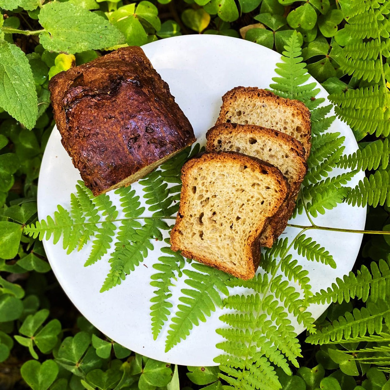 Brioche