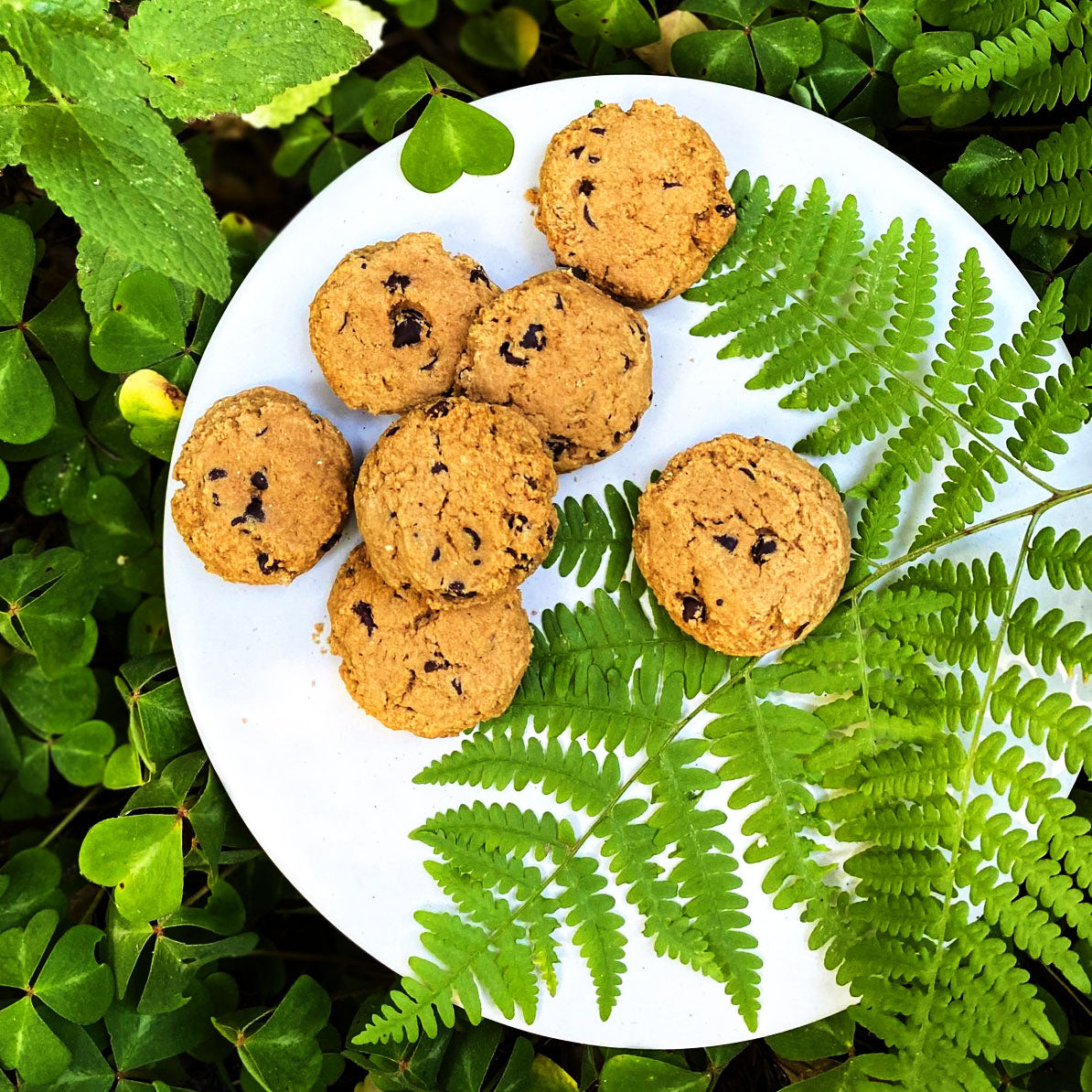 Crazygood Cassava Chocolate Chip Cookies