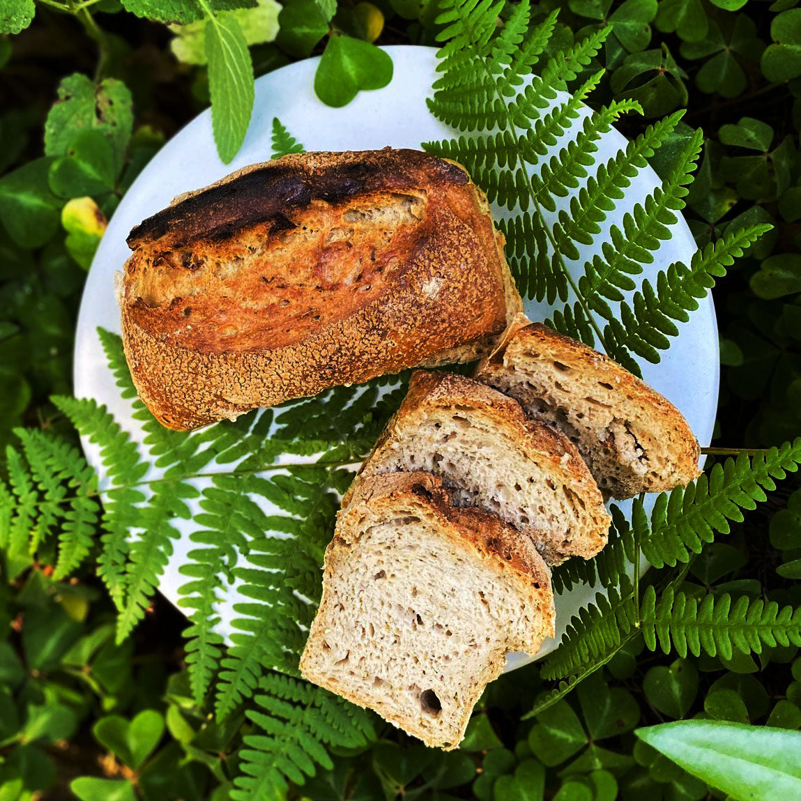 Lavender Lemon Bread