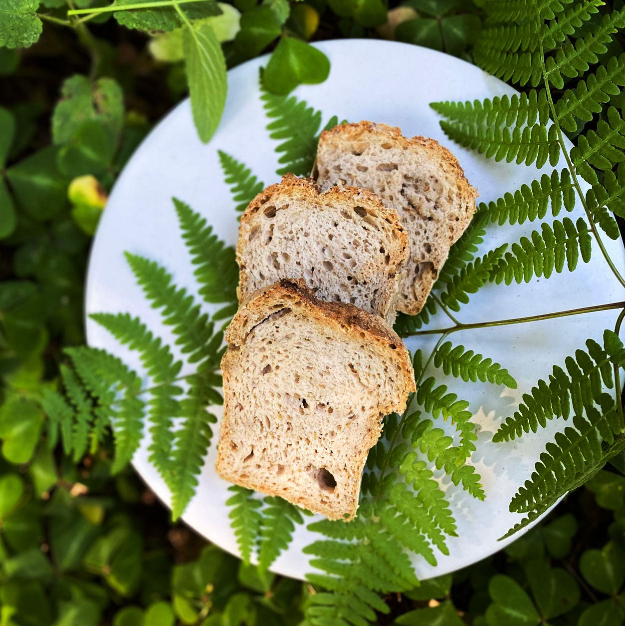 Lavender Lemon Bread